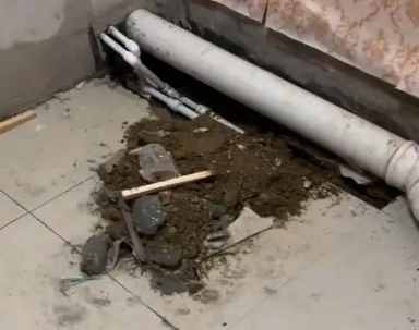 资源卫生间漏水检测哪家好